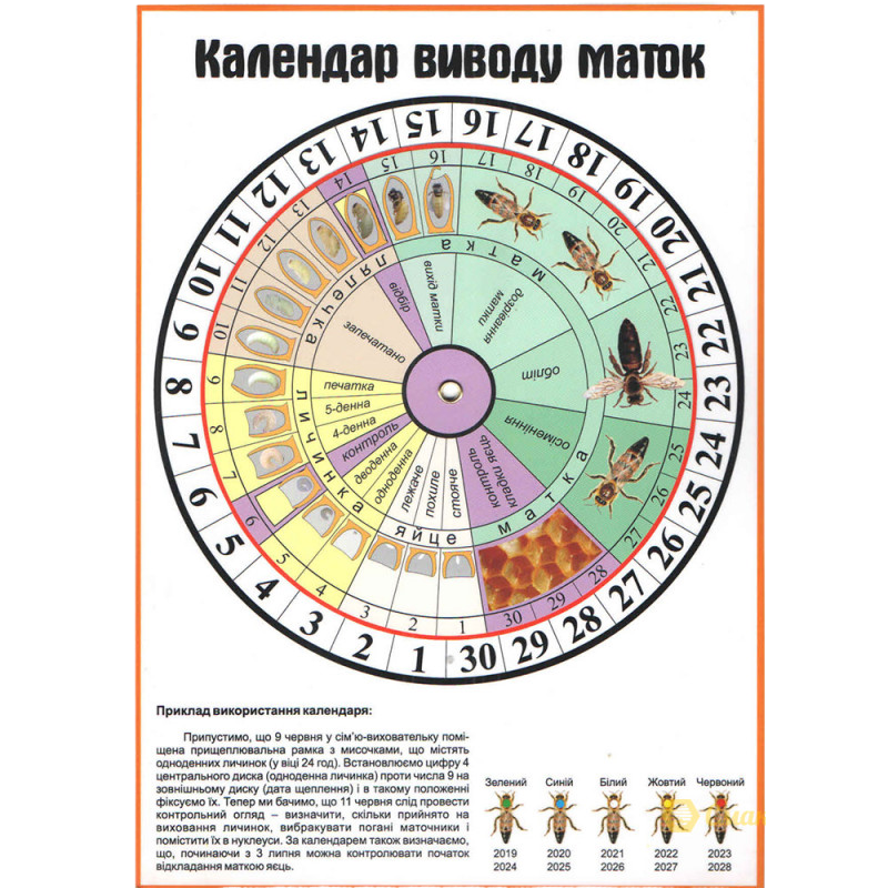 Календар для виводу маток